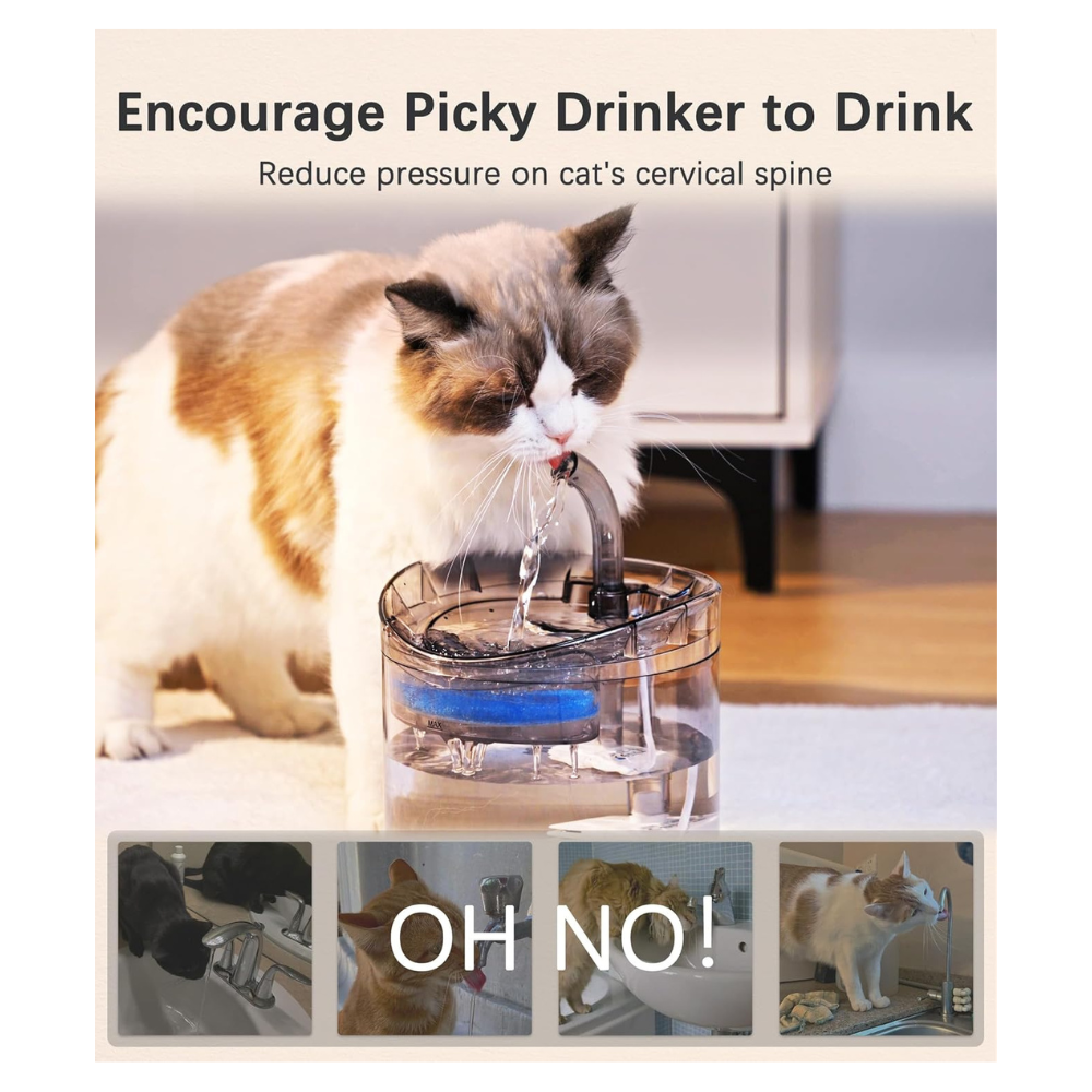 Dispensador de Agua para Mascotas