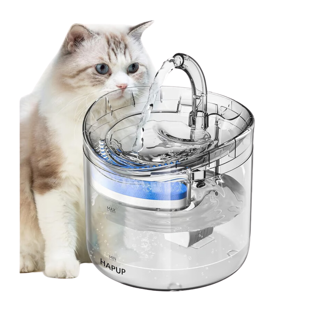 Dispensador de Agua para Mascotas